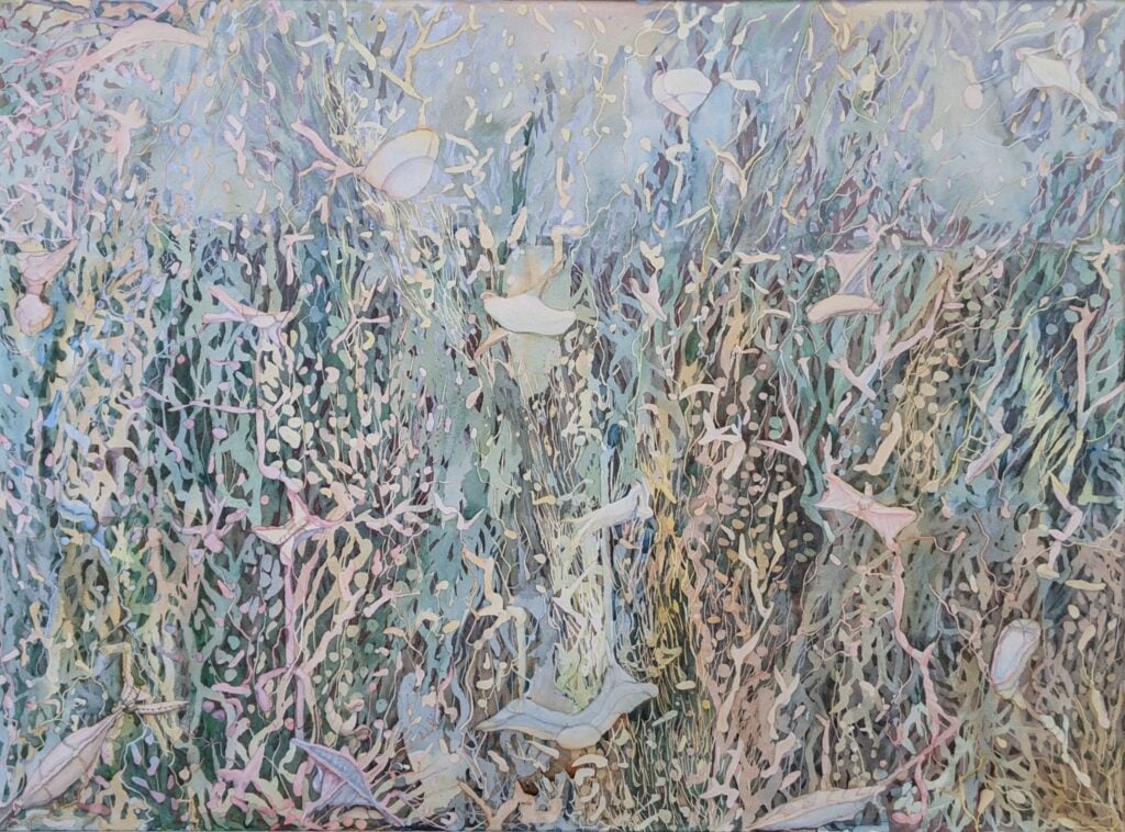 Les mailles du filet