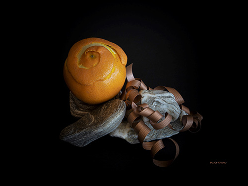 Photos de natures mortes de Marie Travier