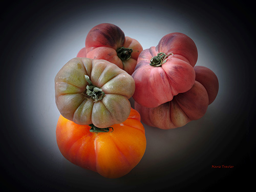 Photo de natures mortes